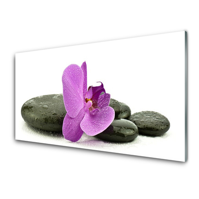 Quadro de vidro Orquídea Flor