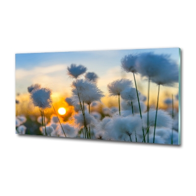 Quadro de vidro Flores Planta Natureza