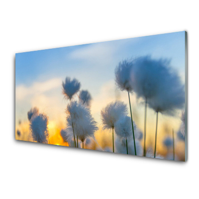 Quadro de vidro Flores Planta Natureza