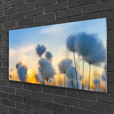 Quadro de vidro Flores Planta Natureza