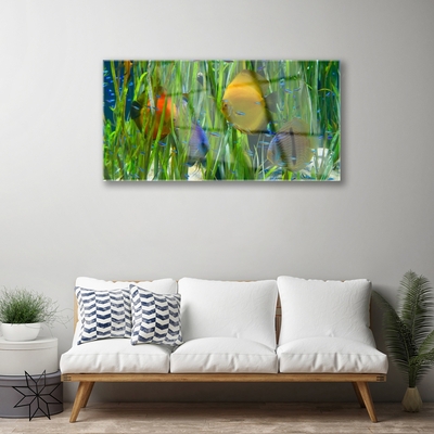 Quadro de vidro Peixes Algas Marinhas Natureza