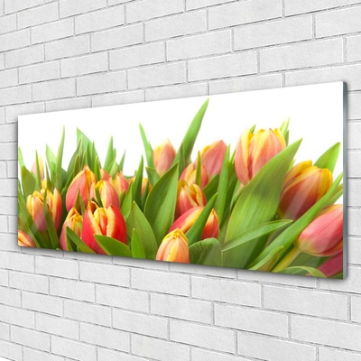 Quadro de vidro Tulipas Flores Planta