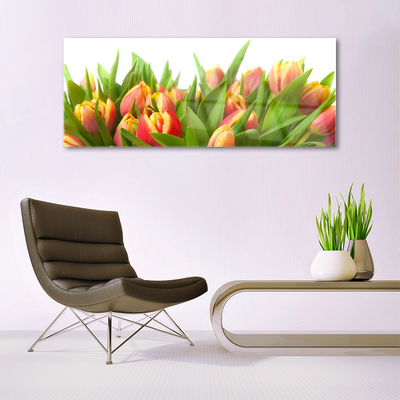 Quadro de vidro Tulipas Flores Planta