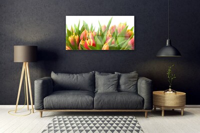 Quadro de vidro Tulipas Flores Planta