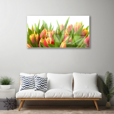 Quadro de vidro Tulipas Flores Planta