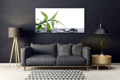 Quadro de vidro Folha Natureza Pedras Planta