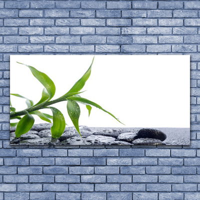 Quadro de vidro Folha Natureza Pedras Planta