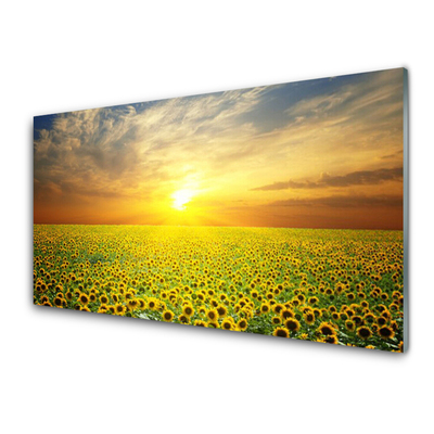 Quadro de vidro Girassóis Sun Meadow