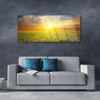 Quadro de vidro Girassóis Sun Meadow