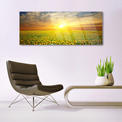 Quadro de vidro Girassóis Sun Meadow