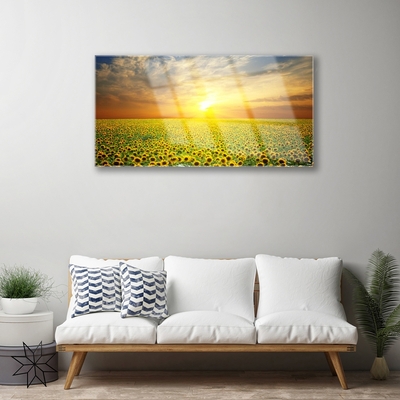 Quadro de vidro Girassóis Sun Meadow