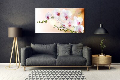 Quadro de vidro Flores Planta Natureza