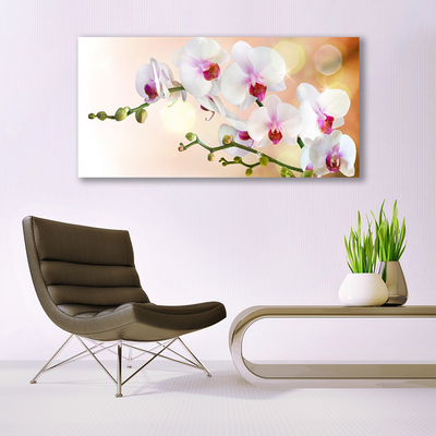 Quadro de vidro Flores Planta Natureza