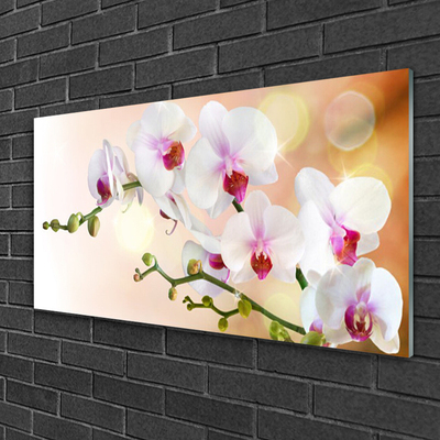 Quadro de vidro Flores Planta Natureza
