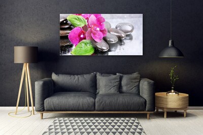 Quadro de vidro Planta de orquídea flor