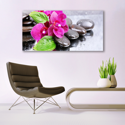 Quadro de vidro Planta de orquídea flor