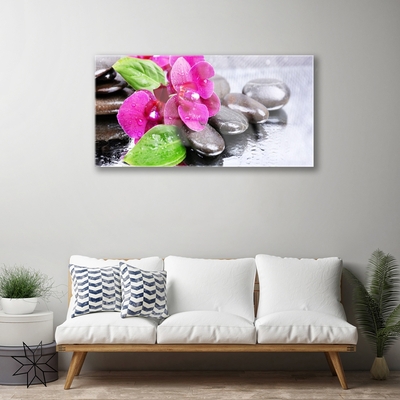 Quadro de vidro Planta de orquídea flor