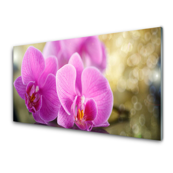 Quadro de vidro Flores Planta Natureza