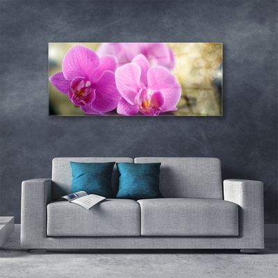 Quadro de vidro Flores Planta Natureza