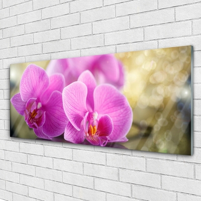 Quadro de vidro Flores Planta Natureza