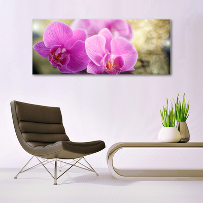 Quadro de vidro Flores Planta Natureza