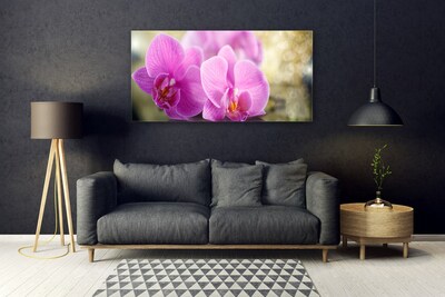 Quadro de vidro Flores Planta Natureza