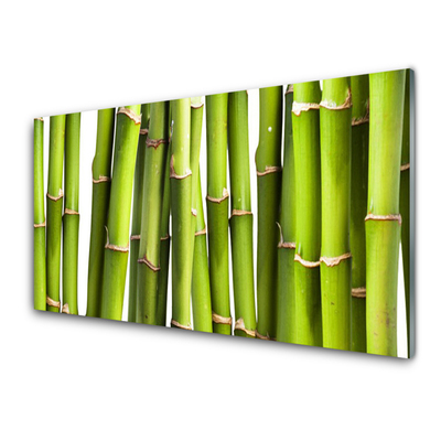 Pintura em vidro Natureza da planta de bambu