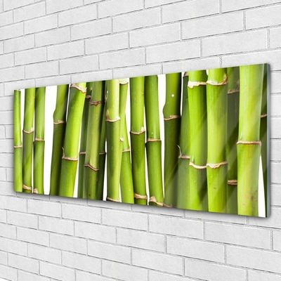 Pintura em vidro Natureza da planta de bambu