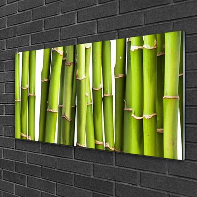 Pintura em vidro Natureza da planta de bambu
