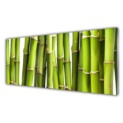 Pintura em vidro Natureza da planta de bambu