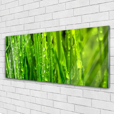 Quadro de vidro Natureza da planta grama