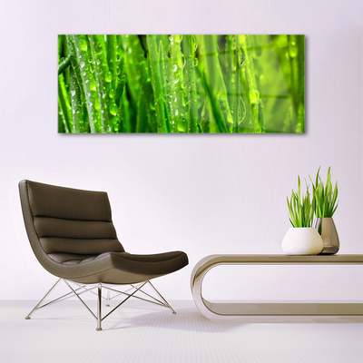 Quadro de vidro Natureza da planta grama