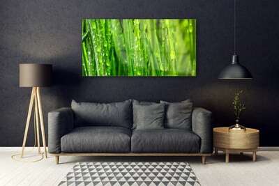 Quadro de vidro Natureza da planta grama
