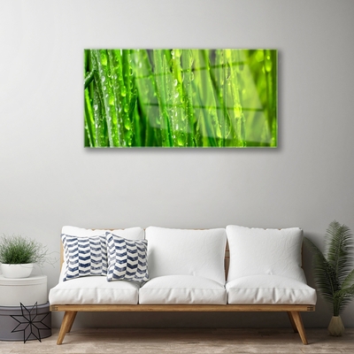Quadro de vidro Natureza da planta grama