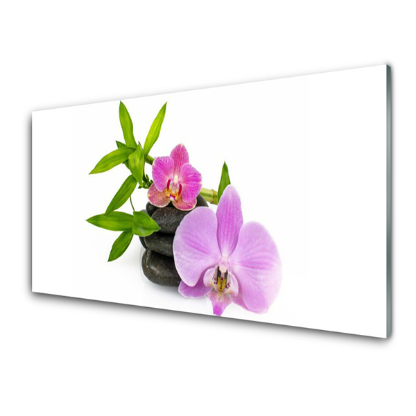 Pintura em vidro Planta de orquídea flor