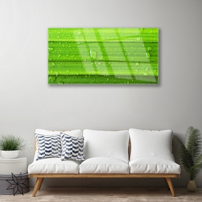 Quadro de vidro Natureza da planta grama