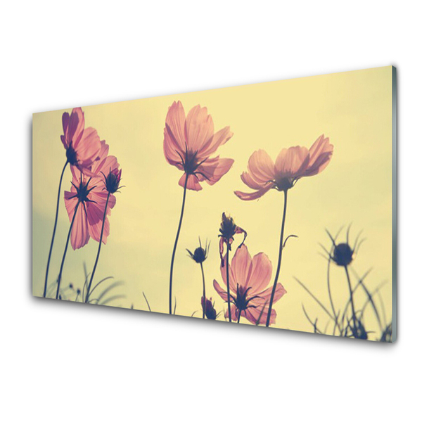 Quadro de vidro Flores Planta Natureza