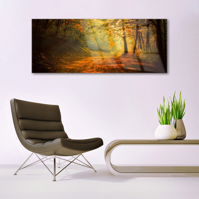 Quadro de vidro Caminho da Floresta Árvores Natureza