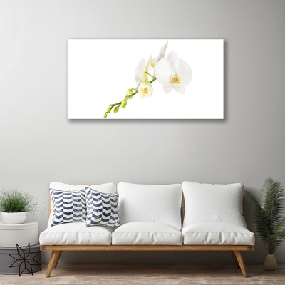 Quadro de vidro Flores Planta Natureza