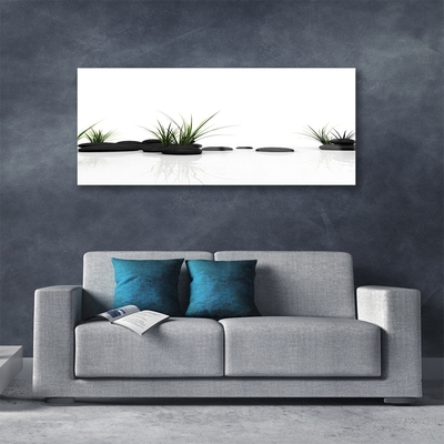 Quadro de vidro Espelho d'água de grama