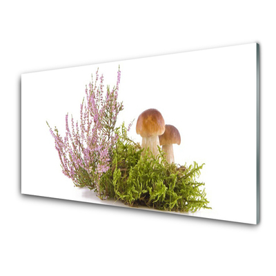 Quadro de vidro Cogumelos Planta Natureza