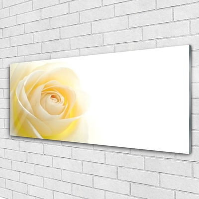 Pintura em vidro Rosa Flor Planta Natureza