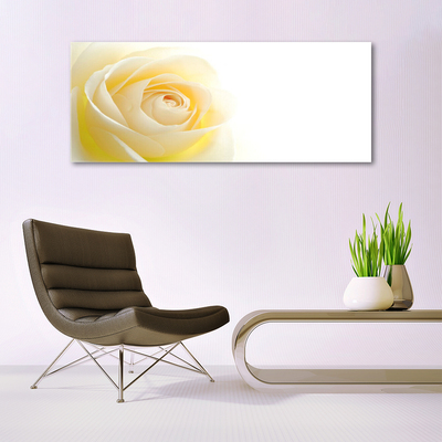 Pintura em vidro Rosa Flor Planta Natureza