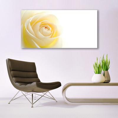 Pintura em vidro Rosa Flor Planta Natureza