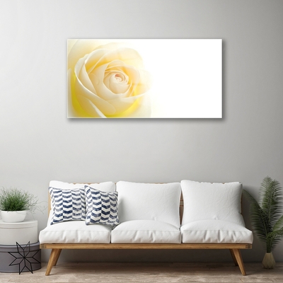Pintura em vidro Rosa Flor Planta Natureza