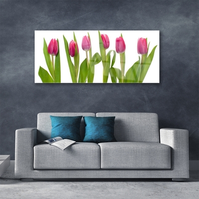 Quadro de vidro Tulipas Flores Planta