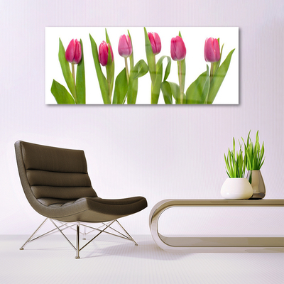 Quadro de vidro Tulipas Flores Planta