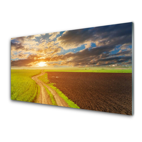 Quadro de vidro Campo Céu Sol Natureza