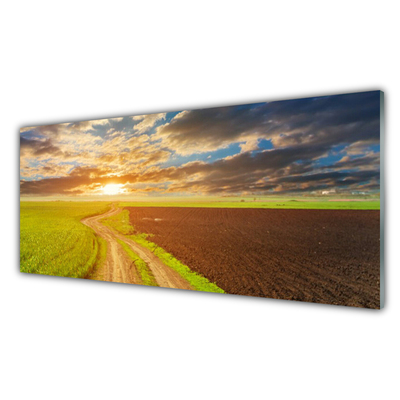 Quadro de vidro Campo Céu Sol Natureza