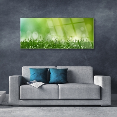 Quadro de vidro Natureza da planta grama